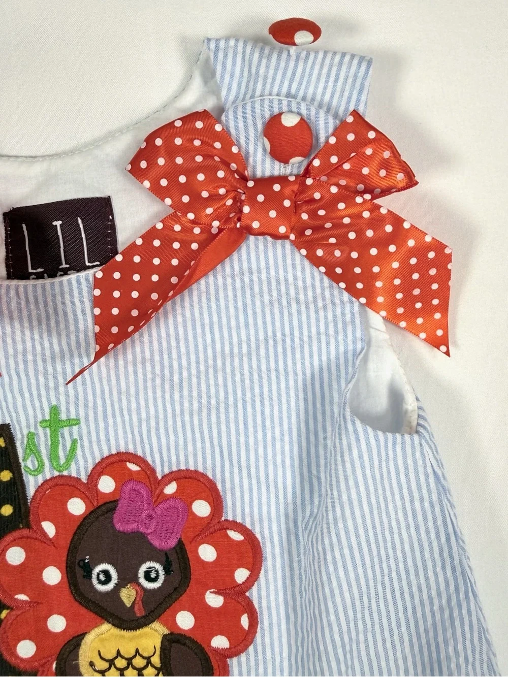 LIL CACTUS Girls 1st Thanksgiving Turkey Seersucker Dress Size 6-12M Boutique